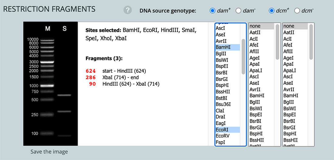 Screenshot of the