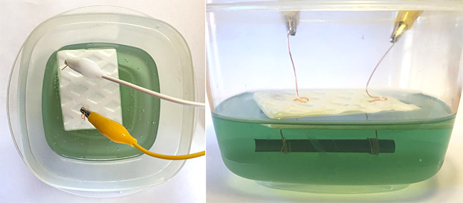 Conductivity sensor submerged in liquid.