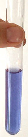 In the presence of large enough quantities of copper, the copper test tablets will turn the water blue