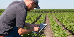 Agricultural Technology - STEM Projects