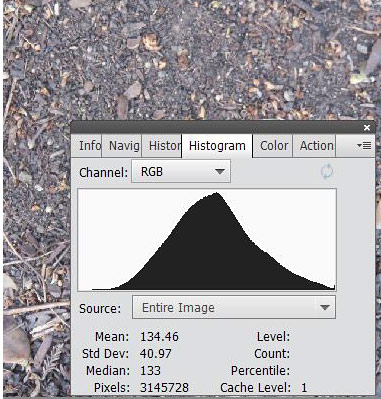 Distribution of average light intensity for a picture of dirt