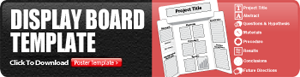 science project display board template