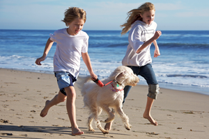 Healthy Living Landing Page