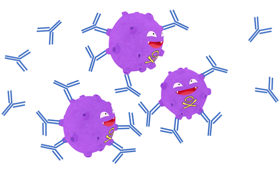 Immune Response Flow Chart Worksheet