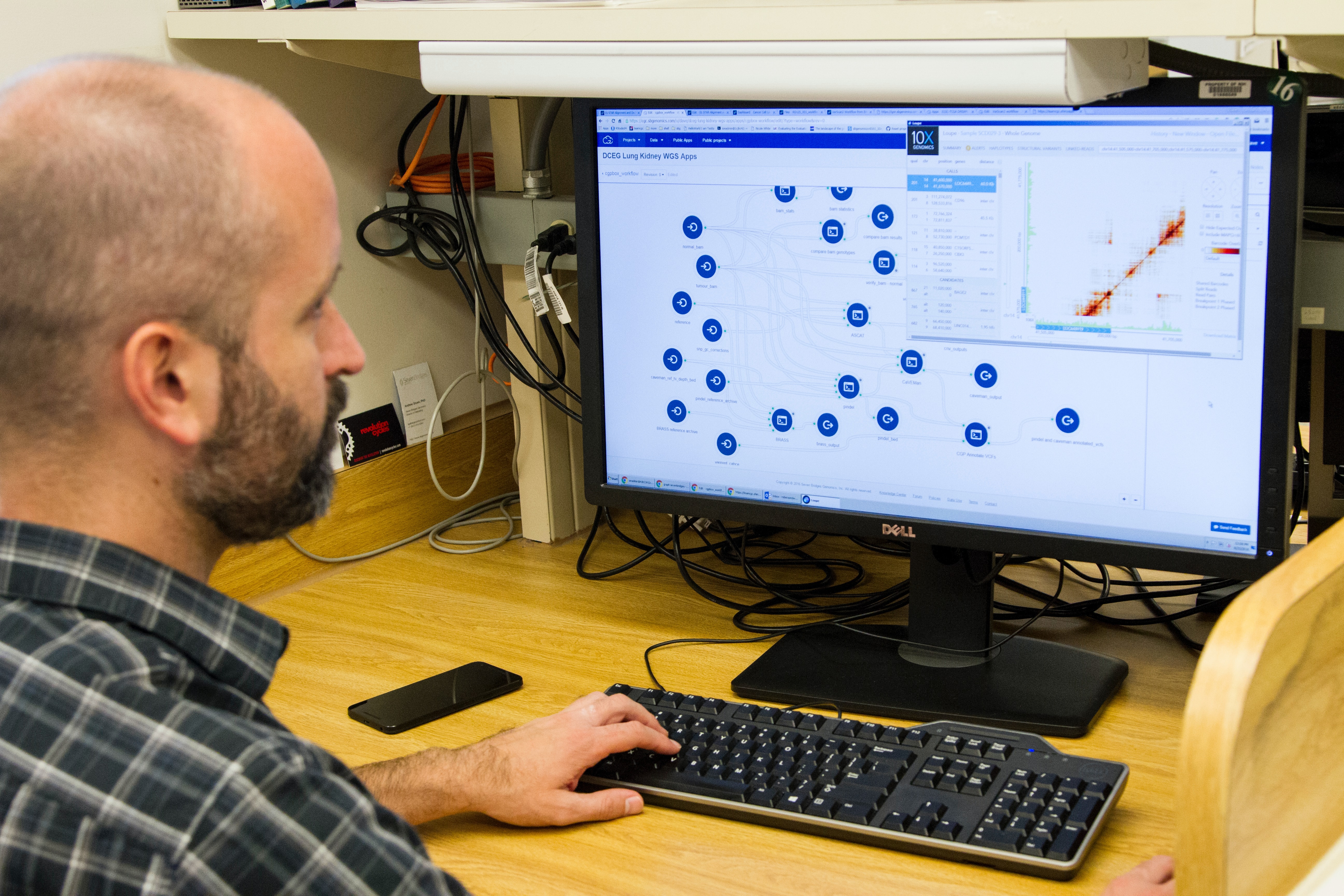 bioinformatics scientist evaluating microarray data