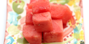 Watermelon and seed science project