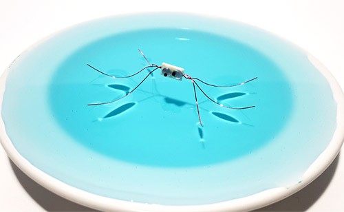 Copper wire bug with six legs rests on the surface of blue water