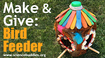 Make and Give STEM: Homemade bird feeder made from recycled milk jug