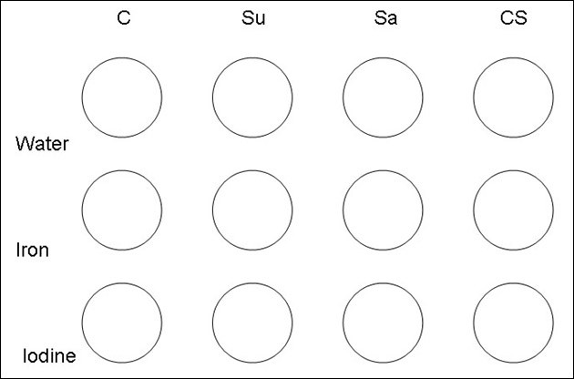 Drawn diagram of a reaction plate