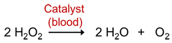 Chemical equation of hydrogen peroxide reacting with blood to form water and oxygen