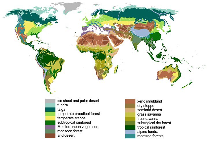 Map of the world shows landmasses color coded based on eighteen different terrestrial biomes listed on a key