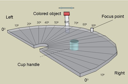 Diagram of protractor used to measure the angle where a colored object enters a persons peripheral vision