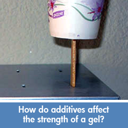 Additives affect on gel science project