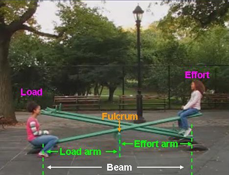 Photo of two children and a seesaw are labeled with the parts of a lever: beam, load, effort, and fulcrum