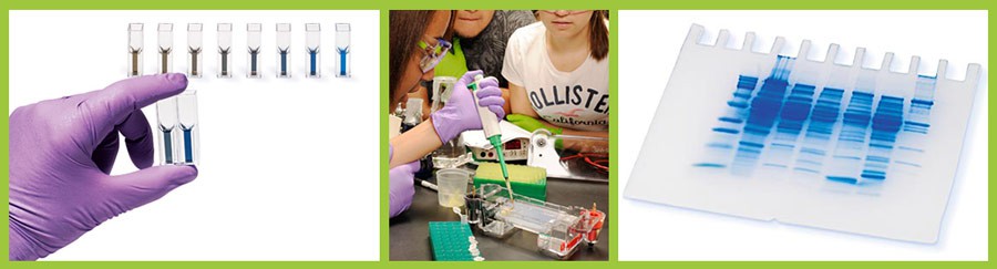 Three side-by-side photos of test cuvettes, a pipette and a test plate