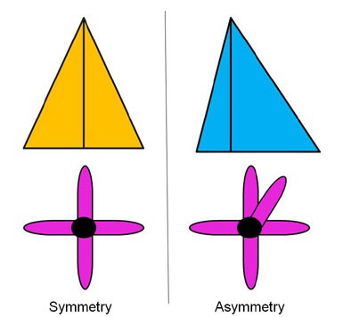 Two shapes with linear symmetry and two shapes that are asymmetrical