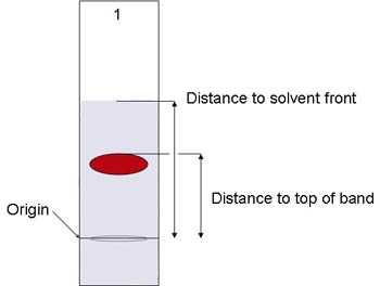 Diagram of a red pigment marking on a paper chromatography strip soaked in solvent