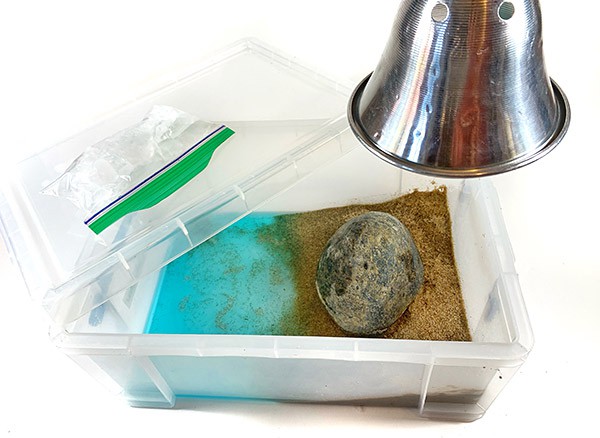 A transparent box with lid at its side. The box is filled with a layer of sand on the right side and a layer of water on the left side. A rock sits on top of the sand layer. On the lid of the box a small bag filled with ice cubes is shown. Above the box part of a heat lamp is shown.
