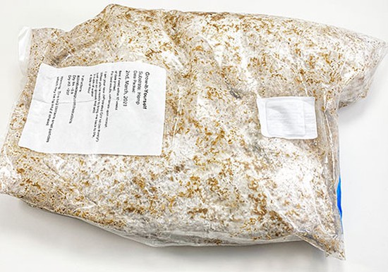 The same bag as the one in Figure 4, but the contents have turned white. A few light brown spots are still visible.  