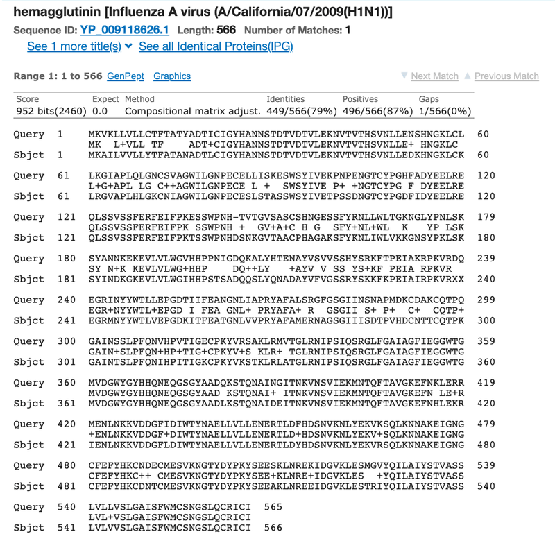 Screenshot of the results page of the 'Alignment' tab in the BLAST tool on the ncbi.nlm.nih.gov website shows the detailed alignment of the query and  subject sequences. Two rows of letters on top of each other represent the two sequences. A vertical line between the two seuences show where bases/letters match. The bases/letters are not connected when there is a mismatch between the sequences. 
