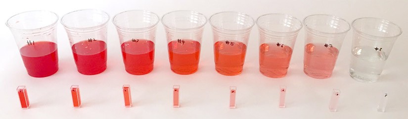 Eight clear plastic cups with different concentrations of a Red 40 and water solution