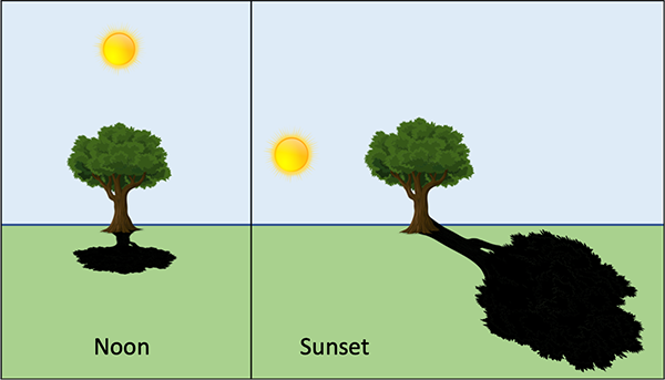  A tree with a very short shadow (left); the Sun is directly above the tree. A tree with a very long shadow (right); the Sun is lower and to the left of the tree. 