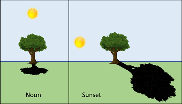 A tree with a very short shadow (left); the Sun is directly above the tree. A tree with a very long shadow (right); the Sun is lower and to the left of the tree.