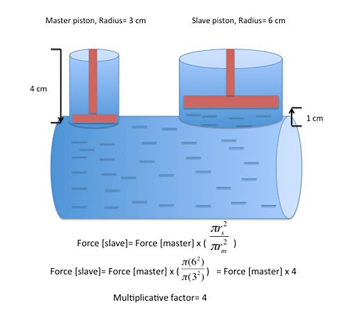 Two pistons of different sizes interact by compressing liquid in a container