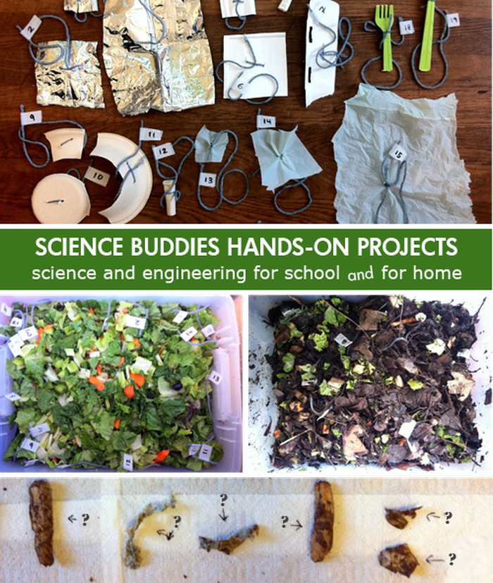 Weekly Science Activity Spotlight / decomposing objects Science Project for School or Family Science