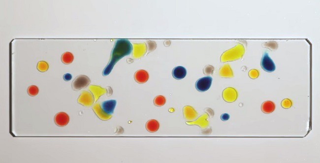 Colorful droplets on a microscope slide