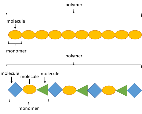 Diagram shows a polymer consists of repeating patterns of monomers