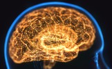 Severe COVID May Cause Brain Changes Similar to Aging