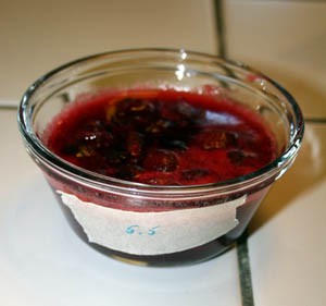 Cranberry sauce in labeled ramekin