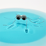 Simple wire water strider floating in a plate of colored water