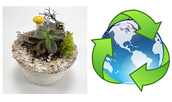A mycelium plant container next to an ecology symbol. 