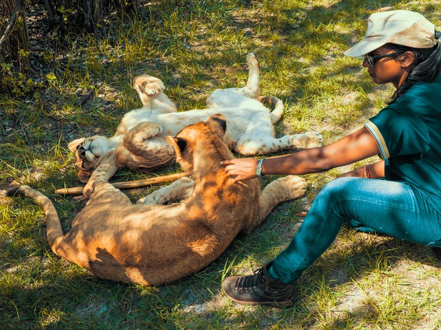 woman with big cats