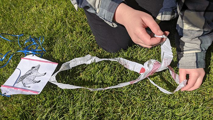 Student tying tails on a homemade kite