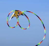 2010-04-01kites.jpg