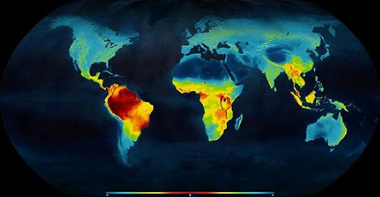 World maps showing the distribution of living terrestrial vertebrate species. Highest concentration of diversity shown in red in equatorial regions, declining polewards (towards the blue end of the spectrum)