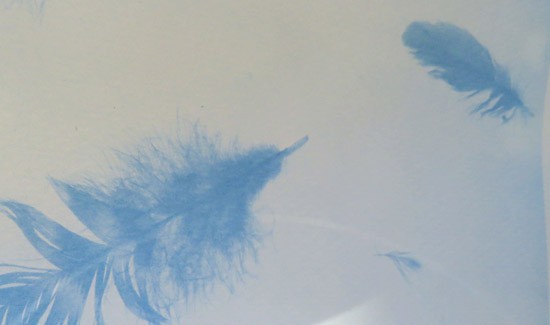 Detailed outline of two blue feathers on a gray background