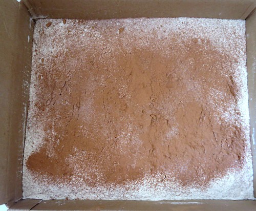 Thin layer of cocoa powder spread over flour