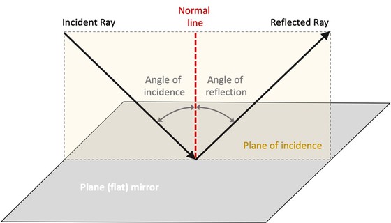  Schematic diagram that illustrates the law of reflection.  