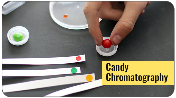 Hard-shell candies and a candy in a plastic lid with solvent for paper chromatography