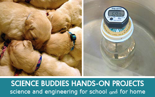 mammalian biology puppy warmth science Science Project / Weekly Family Science Project Highlight