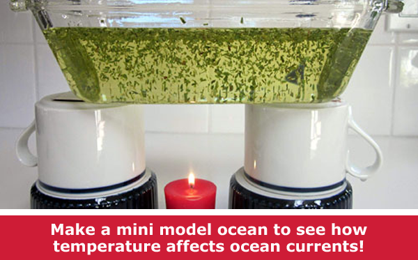 Explore ocean currents with your own mini ocean model / Hand-on STEM experiment