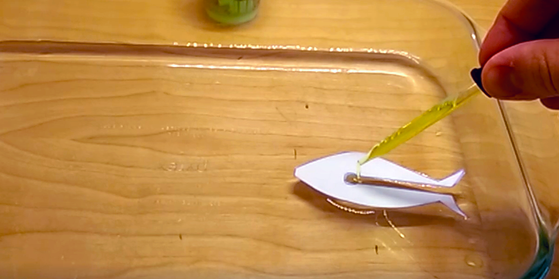 Paper fish in a container of water for surface tension experiment
