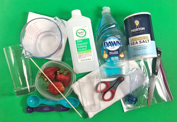 materials needed to do strawberry dna extraction activity