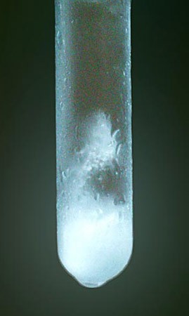 Frozen liquid at the bottom of a test tube