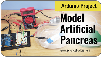 Arduino Science Projects: Model artificial pancreas to see what is involved in the feedback loop required to keep blood glucose within a healthy range