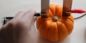 Pumpkin Power Project with the Veggie Power science kit